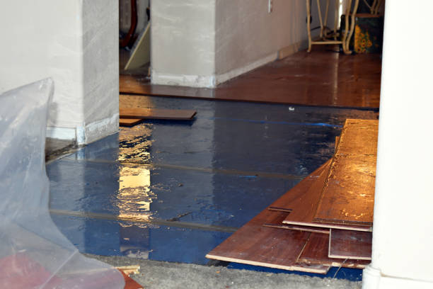 Professional Flood Cleanup technician working in Newton, IL